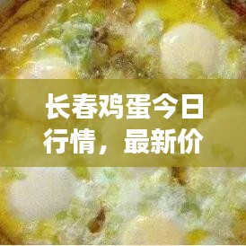 长春鸡蛋今日行情，最新价格与市场走势分析
