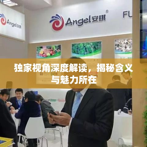 独家视角深度解读，揭秘含义与魅力所在