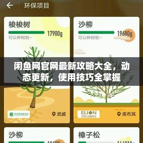 闲鱼网官网最新攻略大全，动态更新，使用技巧全掌握