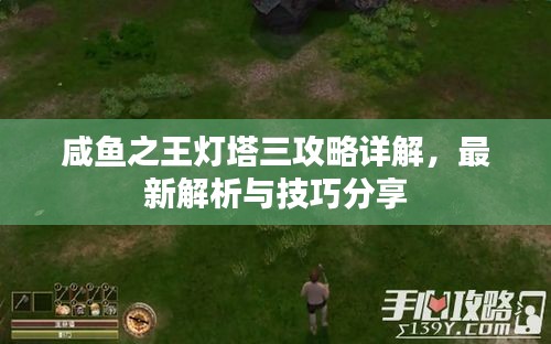 咸鱼之王灯塔三攻略详解，最新解析与技巧分享
