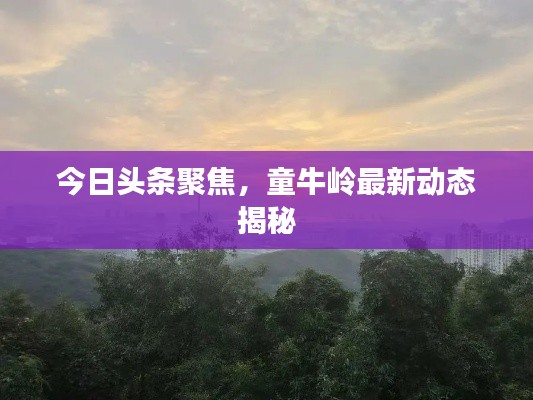 今日头条聚焦，童牛岭最新动态揭秘