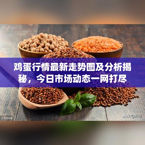 鸡蛋行情最新走势图及分析揭秘，今日市场动态一网打尽