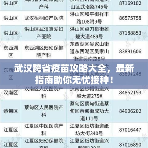 武汉跨省疫苗攻略大全，最新指南助你无忧接种！