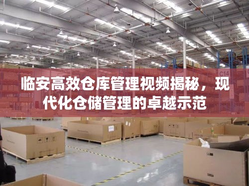 临安高效仓库管理视频揭秘，现代化仓储管理的卓越示范