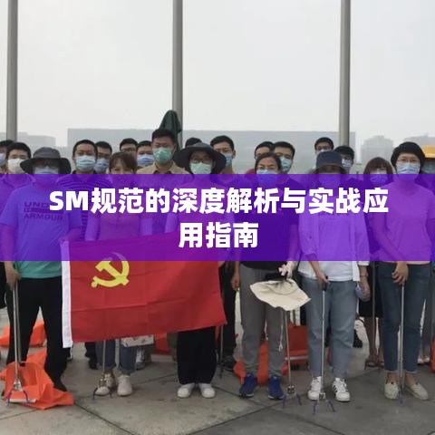 SM规范的深度解析与实战应用指南
