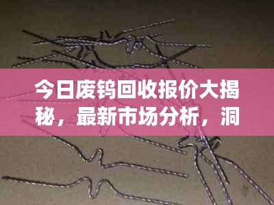 今日废钨回收报价大揭秘，最新市场分析，洞悉市场动态！