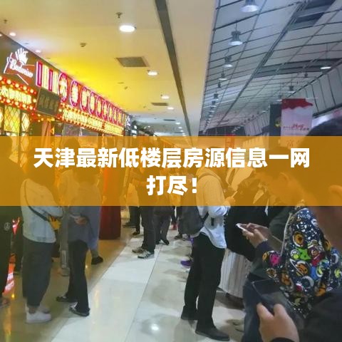天津最新低楼层房源信息一网打尽！