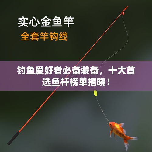 钓鱼爱好者必备装备，十大首选鱼杆榜单揭晓！