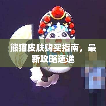 熊猫皮肤购买指南，最新攻略速递
