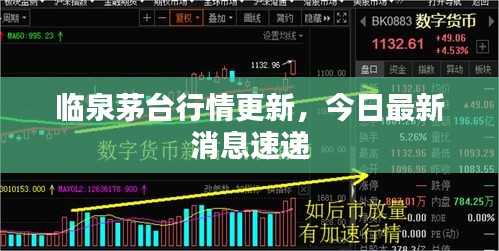 临泉茅台行情更新，今日最新消息速递