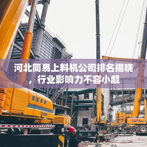 河北简易上料机公司排名揭晓，行业影响力不容小觑