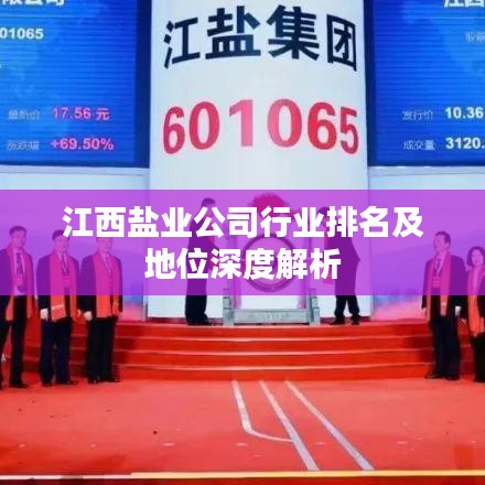 江西盐业公司行业排名及地位深度解析