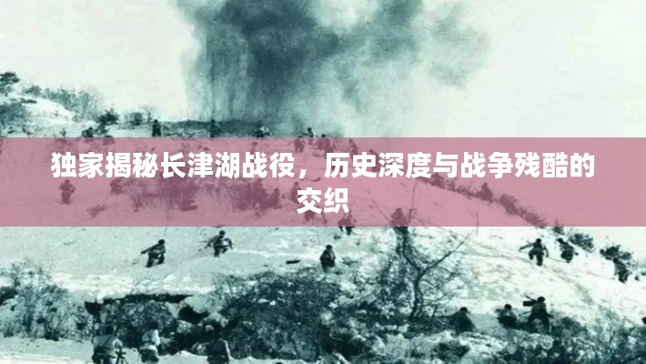 独家揭秘长津湖战役，历史深度与战争残酷的交织