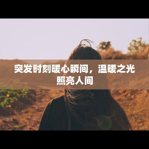 兽聚鸟散