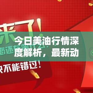 今日美油行情深度解析，最新动态与走势预测