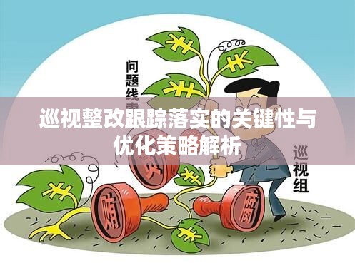 巡视整改跟踪落实的关键性与优化策略解析