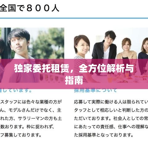独家委托租赁，全方位解析与指南