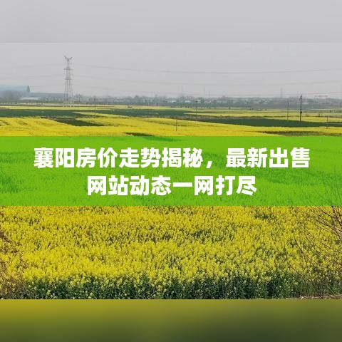 襄阳房价走势揭秘，最新出售网站动态一网打尽