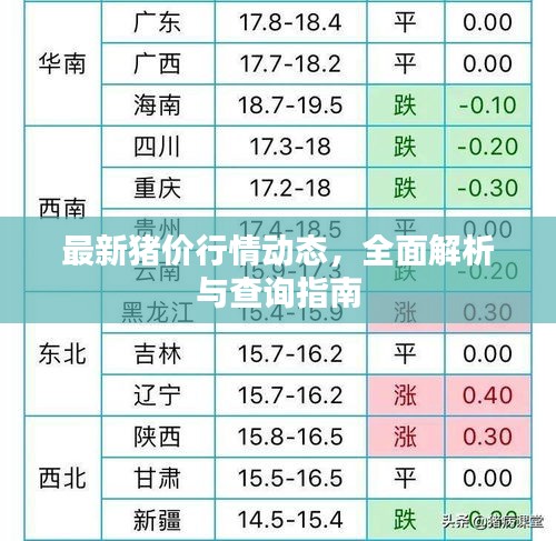 最新猪价行情动态，全面解析与查询指南