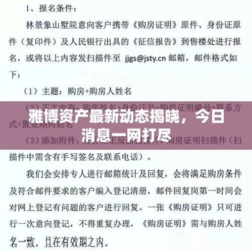 雅博资产最新动态揭晓，今日消息一网打尽