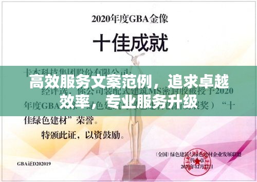 高效服务文案范例，追求卓越效率，专业服务升级