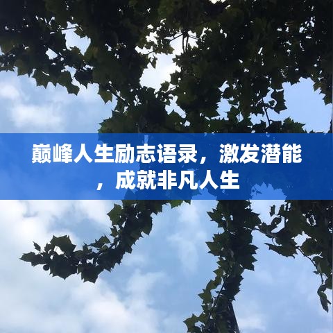 贵耳贱目