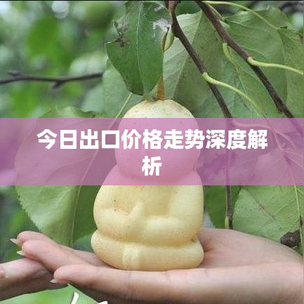 今日出口价格走势深度解析