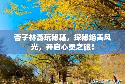 杏子林游玩秘籍，探秘绝美风光，开启心灵之旅！