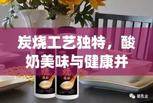 炭烧工艺独特，酸奶美味与健康并重，必试佳品！