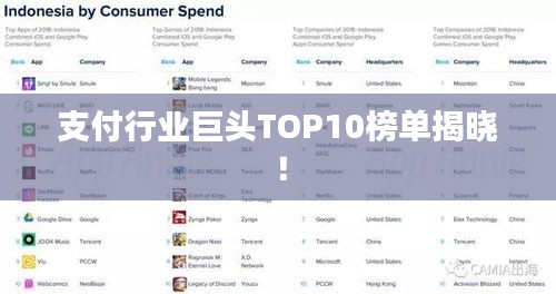 支付行业巨头TOP10榜单揭晓！