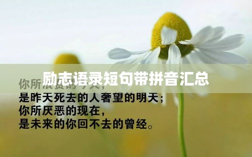 阳春白雪