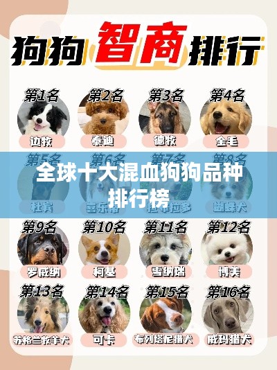全球十大混血狗狗品种排行榜