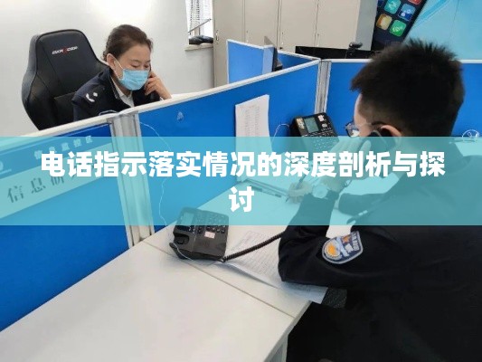 电话指示落实情况的深度剖析与探讨
