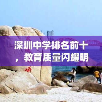 深圳中学排名前十，教育质量闪耀明珠榜单揭晓！