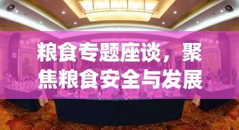 粮食专题座谈，聚焦粮食安全与发展战略