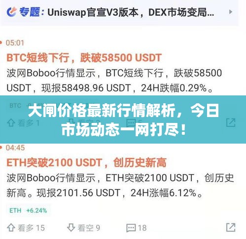 大闸价格最新行情解析，今日市场动态一网打尽！