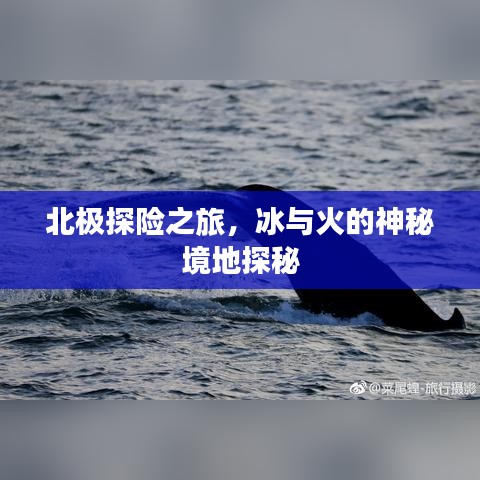 北极探险之旅，冰与火的神秘境地探秘