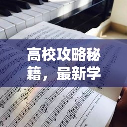 高校攻略秘籍，最新学习秘籍，探索学习之路的捷径秘籍（高校学习攻略揭秘）