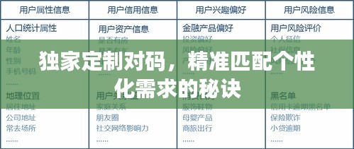 独家定制对码，精准匹配个性化需求的秘诀