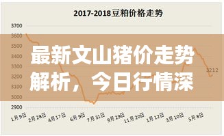 最新文山猪价走势解析，今日行情深度剖析