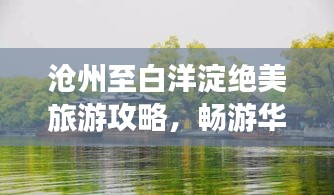 沧州至白洋淀绝美旅游攻略，畅游华北水乡新宠！