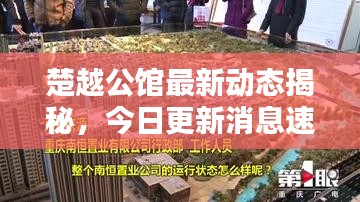 楚越公馆最新动态揭秘，今日更新消息速递