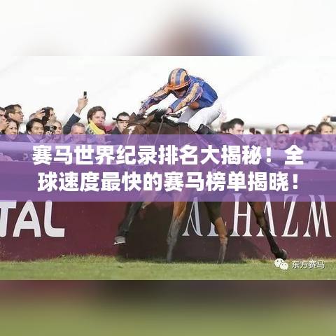 赛马世界纪录排名大揭秘！全球速度最快的赛马榜单揭晓！