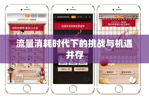 流量消耗时代下的挑战与机遇并存