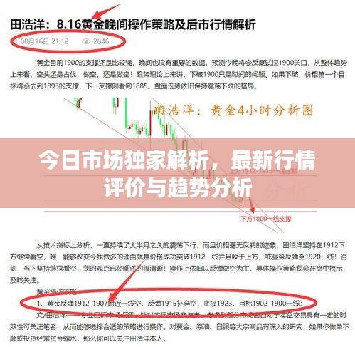 今日市场独家解析，最新行情评价与趋势分析
