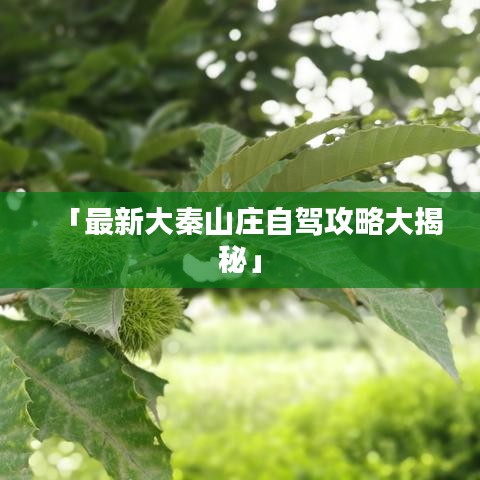 「最新大秦山庄自驾攻略大揭秘」