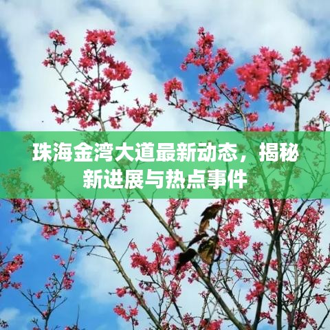 珠海金湾大道最新动态，揭秘新进展与热点事件