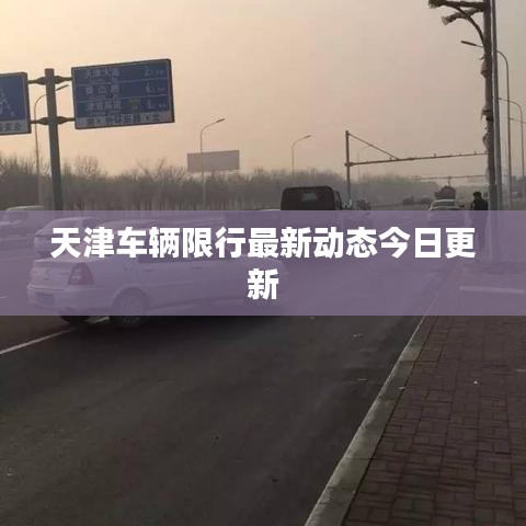 下马看花