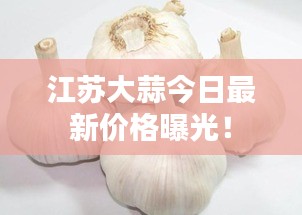 江苏大蒜今日最新价格曝光！