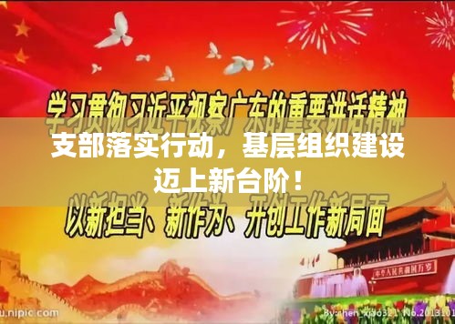 支部落实行动，基层组织建设迈上新台阶！
